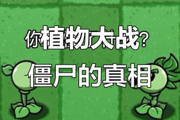 为什么射手保不住命？揭开命运背后的隐秘真相