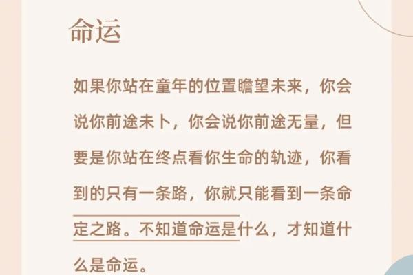 什么都比命重要：深度解析生命的价值与意义