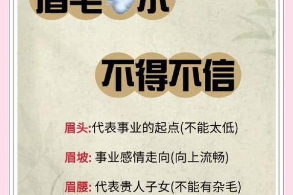 眉毛长短与命运：女人的命格与眉毛的秘密