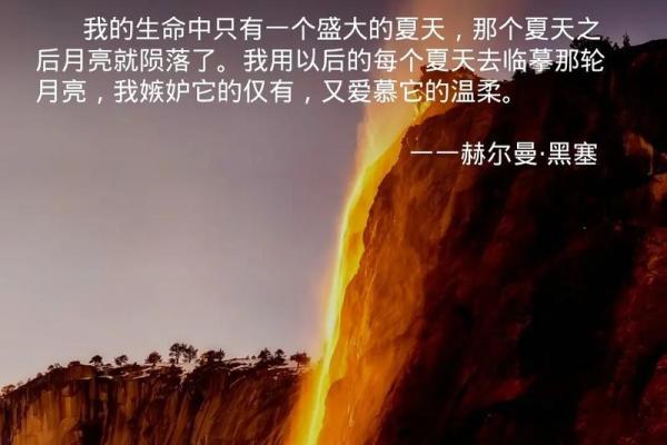 有锋芒的人是什么命：揭示那些冉冉升起的星辰背后的秘密