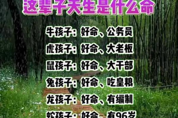 什么人什么命?天生就注定的命运之谜探讨 什么人什么命?天生就注定的命运之谜探讨