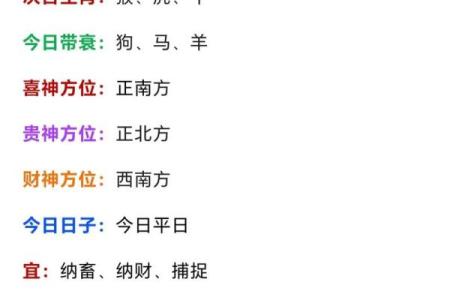 2024牛年：福气满满的龙命有何特别之处？