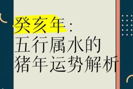 癸亥命与生肖的完美搭配，揭示命理奥秘！