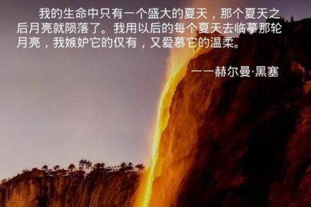 有锋芒的人是什么命：揭示那些冉冉升起的星辰背后的秘密