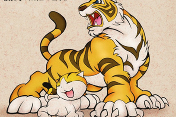 虎过47，解读命理与人生启示！