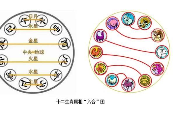 探索基础命理课程：揭开命理智慧的神秘面纱