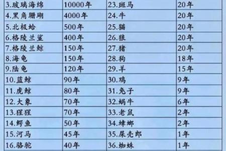 高头小脚命：那些独特动物所象征的生命哲学