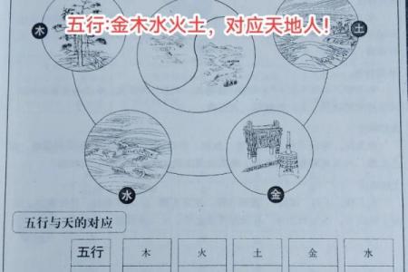 五行土命探秘：了解五种土命格，发掘人生潜能
