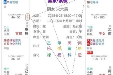 揭秘紫薇命盘：识别女生命运关键的宫位与运势解读