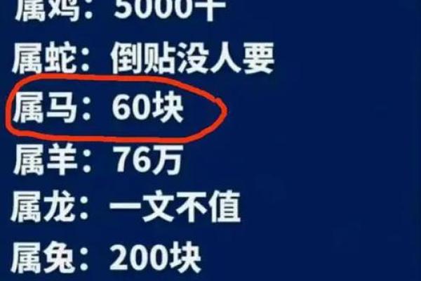 浪子命的生肖解析：寻找生命的归属与智慧