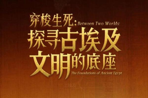 探索照命与串宫的奥秘：揭开命理学的神秘面纱