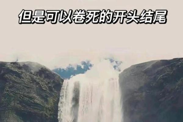 为什么我认为自己的命贱：一次自我反思的旅程