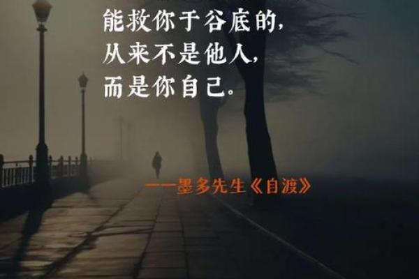 为什么我认为自己的命贱：一次自我反思的旅程