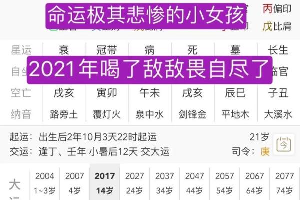 94年11月出生的命运解析：探寻人生路径与内在潜能