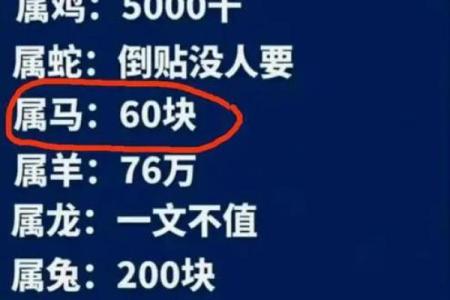 浪子命的生肖解析：寻找生命的归属与智慧