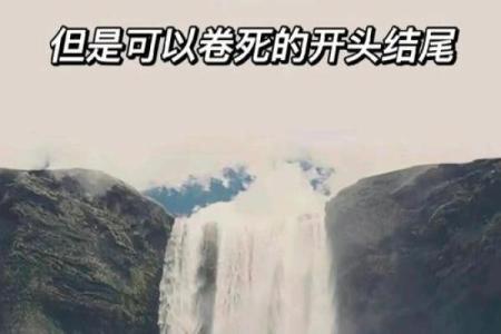 为什么我认为自己的命贱：一次自我反思的旅程