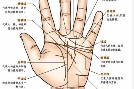 大指拇弯曲命理解析：如何从手相看人生轨迹与性格特点