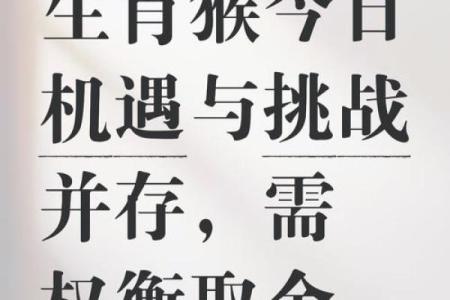 壬申猴年冬月命运解析：揭示命理奥秘与人生智慧
