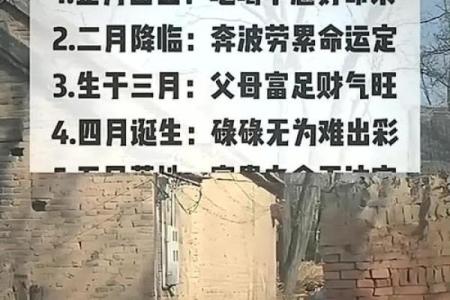 1986年出生的人命运分析与人生指南