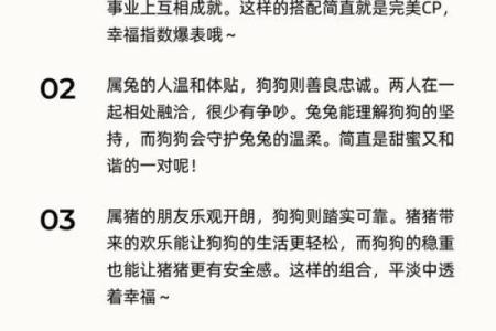 探索金马命与生肖婚配的秘密：最佳伴侣揭秘