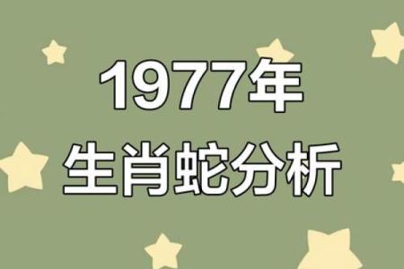 在蛇年出生的你，命运如何？解读蛇年的性格与运势