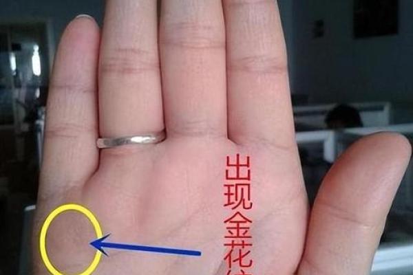 揭开男孩断掌之谜：命理与人生的深刻联系