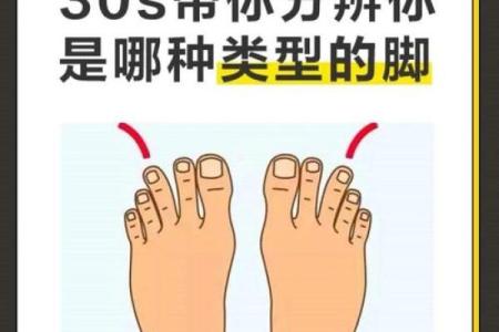 你的脚型暗示着你的性格与命运，快来看看吧！