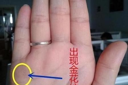 揭开男孩断掌之谜：命理与人生的深刻联系