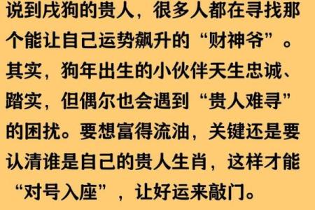82狗年出生的人命运解析：他们的性格与生活机遇