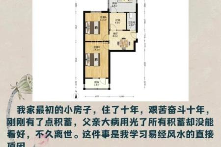 1980年出生的人适合住什么房？命理与居住环境的完美结合