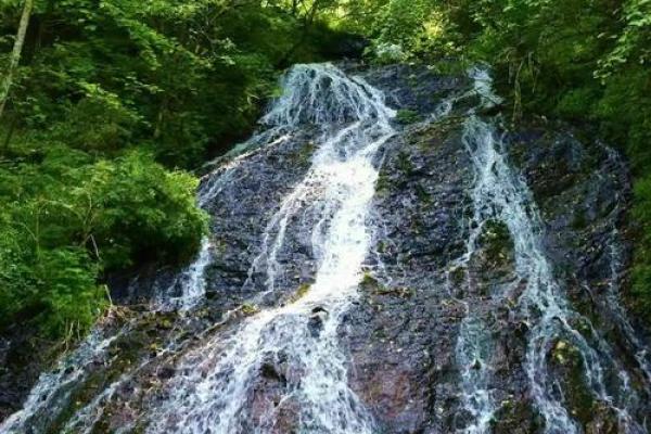 探寻涧下水命：与颜色的神秘联系