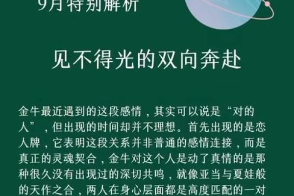 属牛金命的人适合的颜色与生活哲学探讨