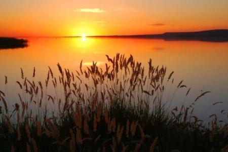 为什么忠臣常常命短？探寻忠诚的代价与人生抉择