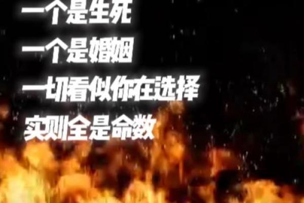 一命换一命，背后的深意与人生哲学探微