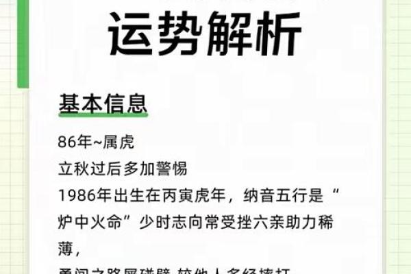炉中火命与最佳配对：解析最适合炉中火命的人群