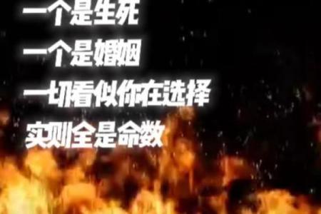 一命换一命，背后的深意与人生哲学探微