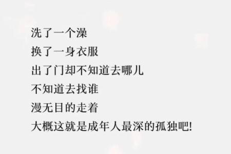 无喜欢的人是什么命：孤独与成长的交响曲