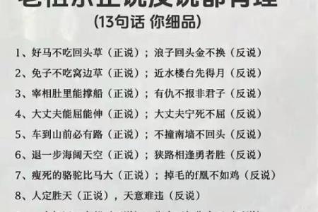 什么不什么：探讨成语背后的智慧与幽默