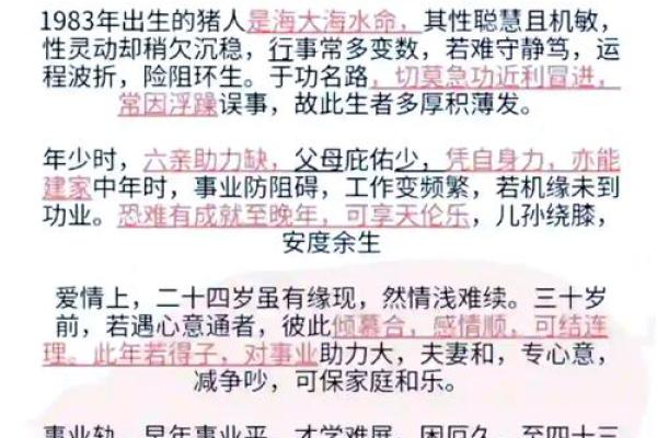 41岁属猪的人生运势与命理分析：适合哪些职业与发展方向？