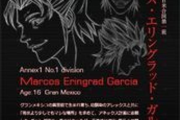 探索女仆六命的神秘世界：你不知道的级别与奥秘