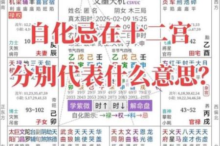 农历1018年的属命解读：古老智慧与现代生活的结合