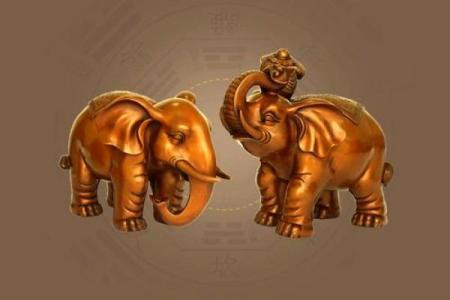 什么动物象征大富大贵，探寻吉祥象征背后的故事与传说