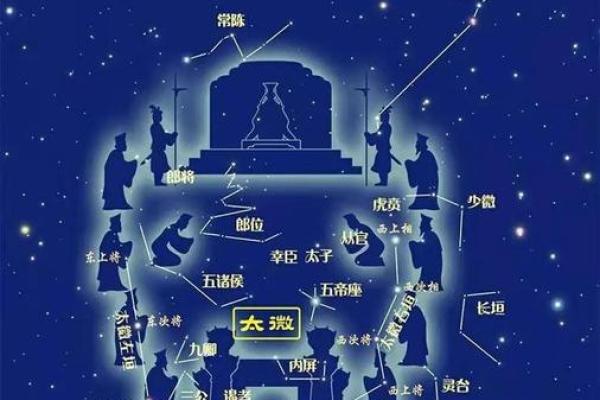 华盖：揭秘紫薇命盘中的神秘星宿及其影响力