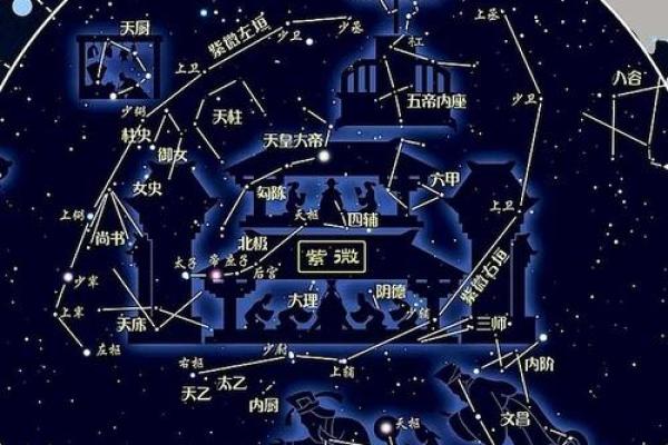 华盖：揭秘紫薇命盘中的神秘星宿及其影响力
