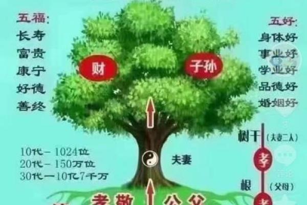 属猴39虚岁解析：旺盛的生命力与理智的思考力