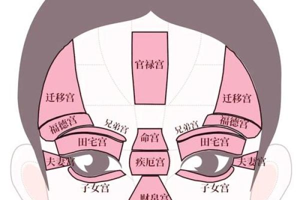 揭秘男生面相:富贵命的面容特征与解析 揭秘男生面相:富贵命的面容特征与解析