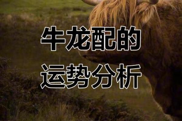 1997年属牛的命运解析:探索牛年人的性格与运势 1997年属牛的命运解析:探索牛年人的性格与运势