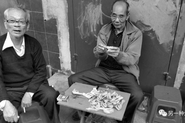 1995年正月十三，命理中的启示与探索