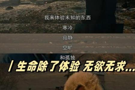 探索2018年5月6日出生者的命运奥秘与人生旅程