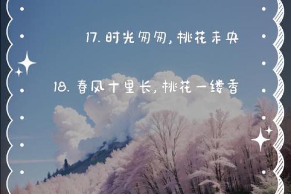 命里无桃花,如何解读人生的孤独与自我成长? 命里无桃花,如何解读人生的孤独与自我成长?
